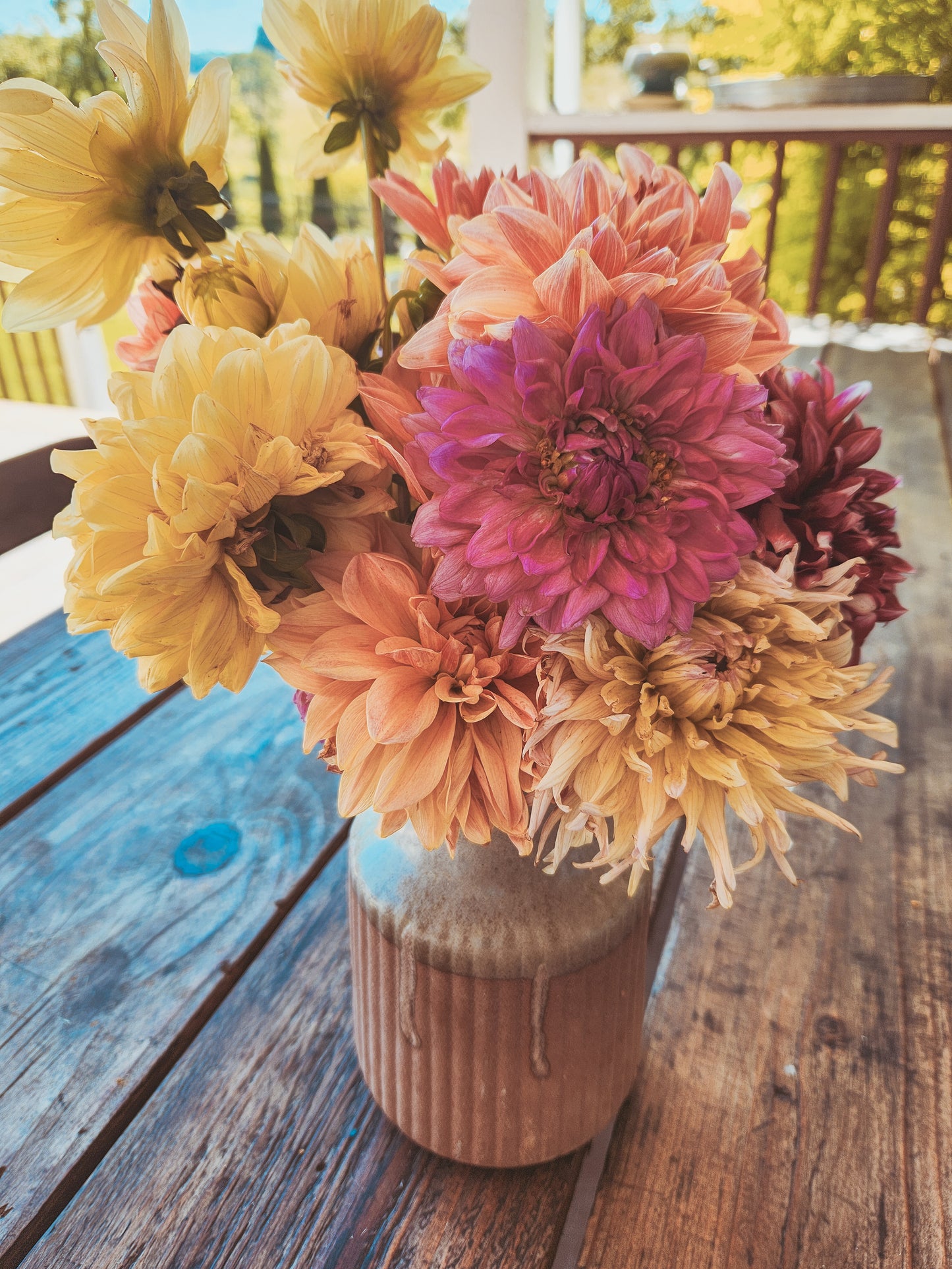 2026 Summer Harvest Box | pickup July 4th or 5th | 10am - 2pm