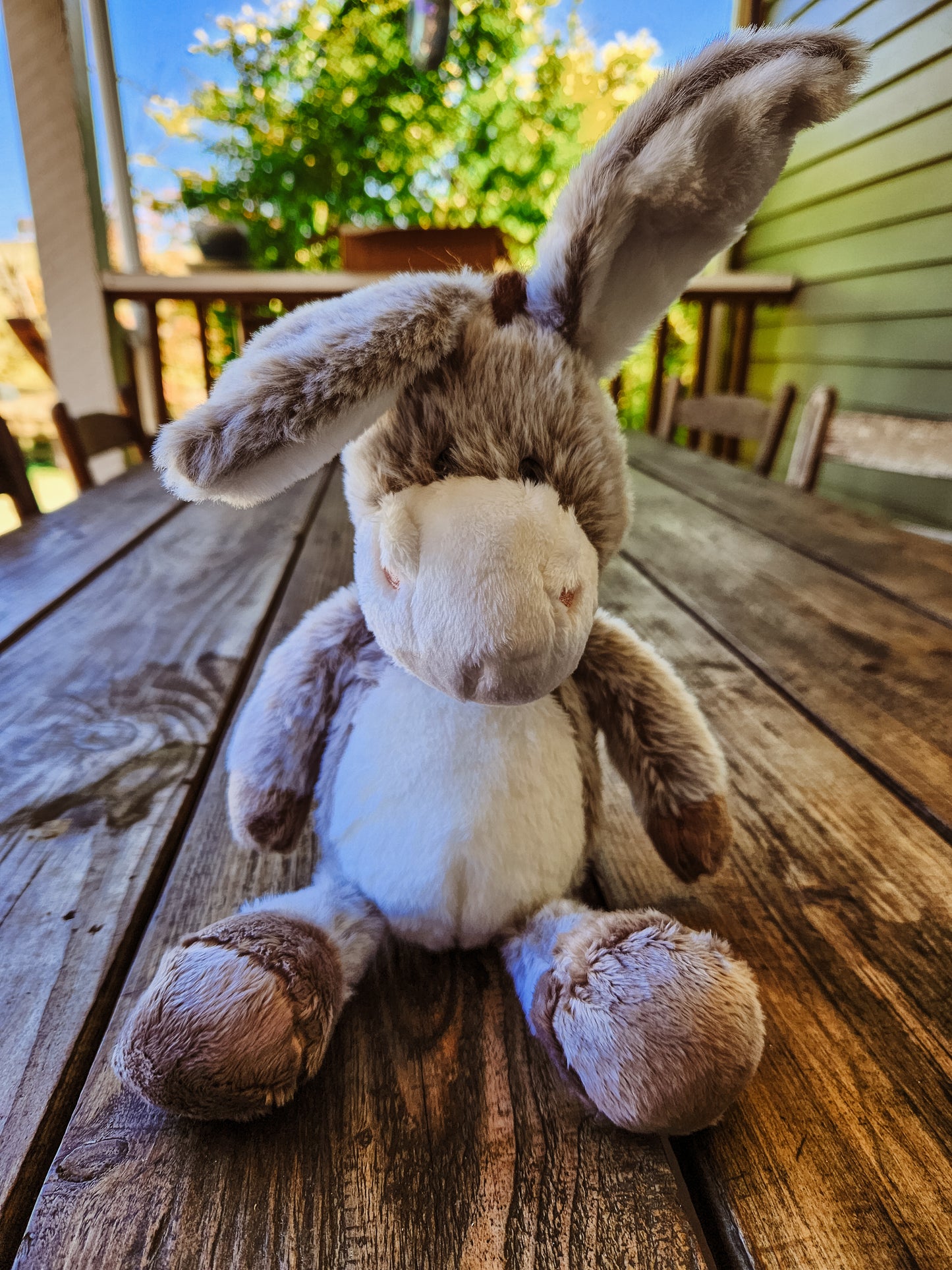 MSF donkey plush