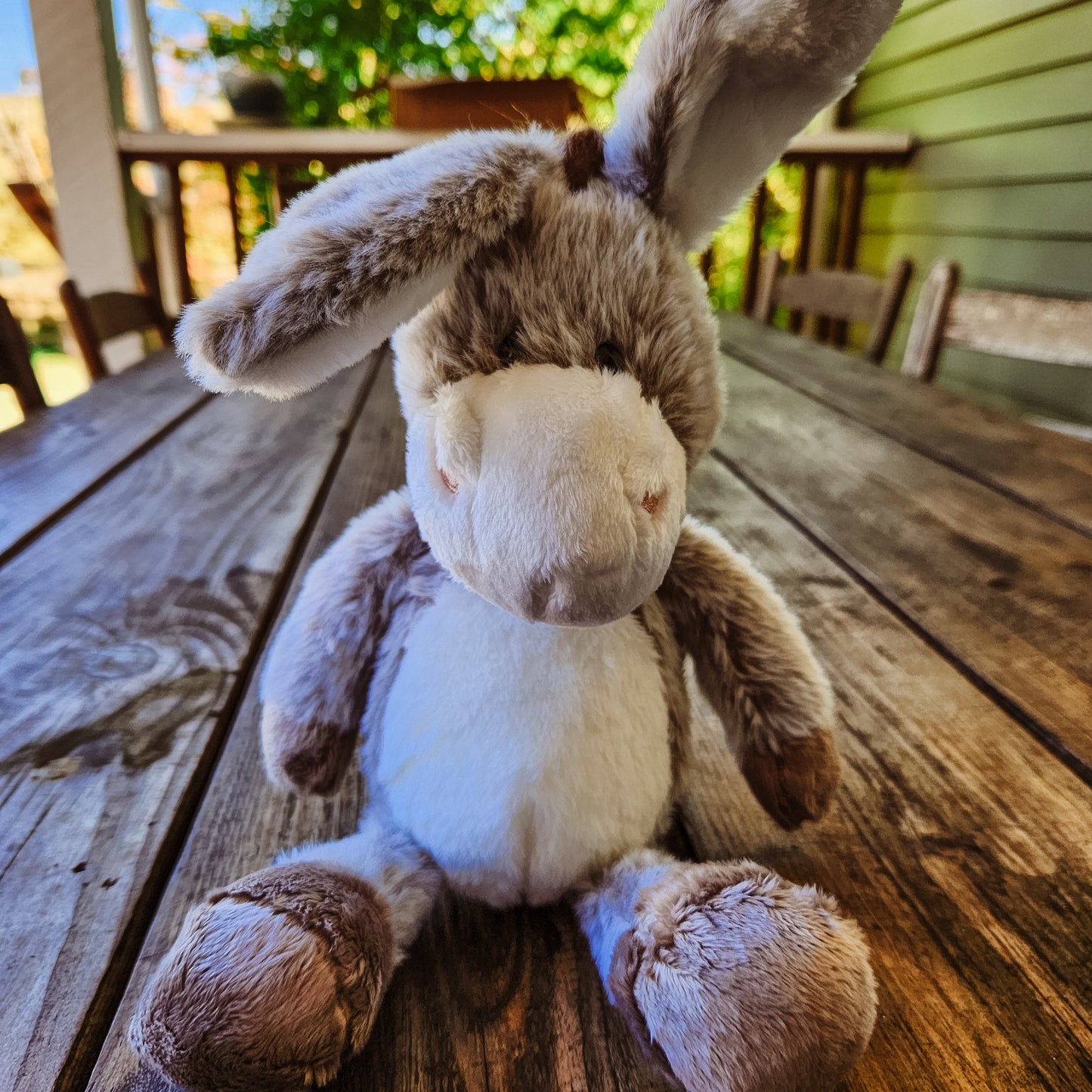 MSF Donkey Plush