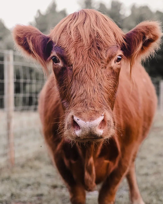 Support the Farm Monthly