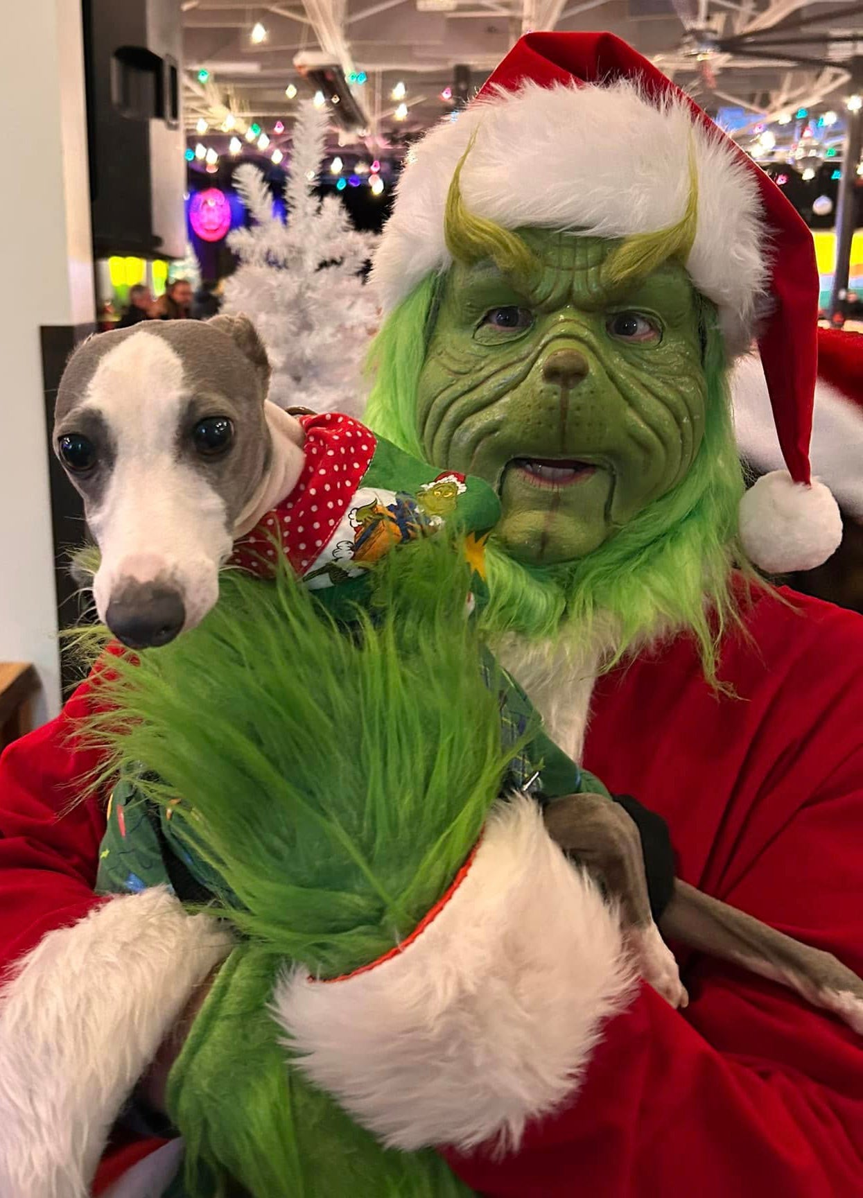 Ornament painting with the Grinch- DEC 14