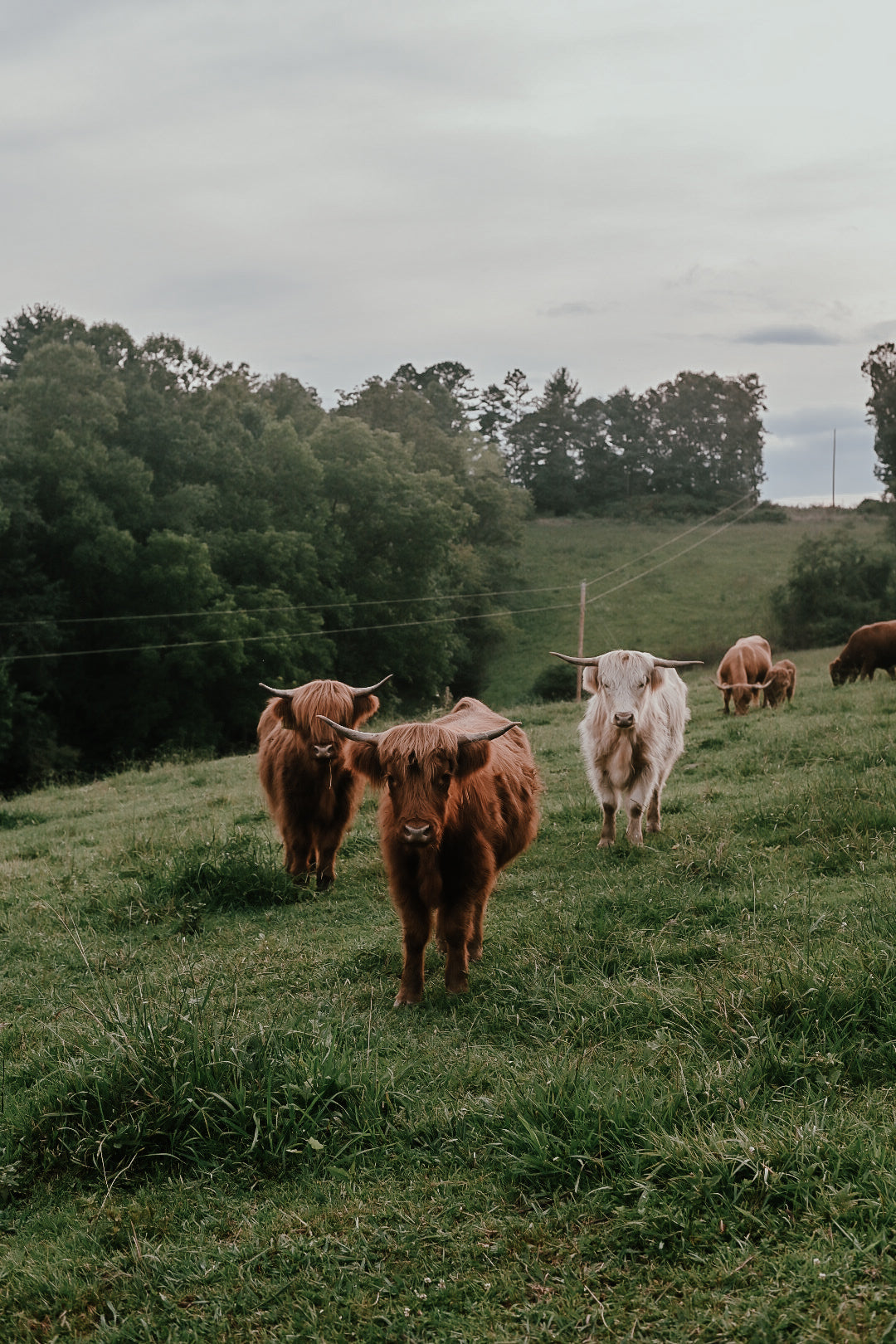 Support the Farm Monthly