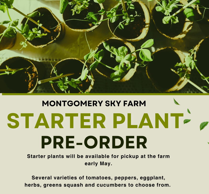 Starter plant pre-order