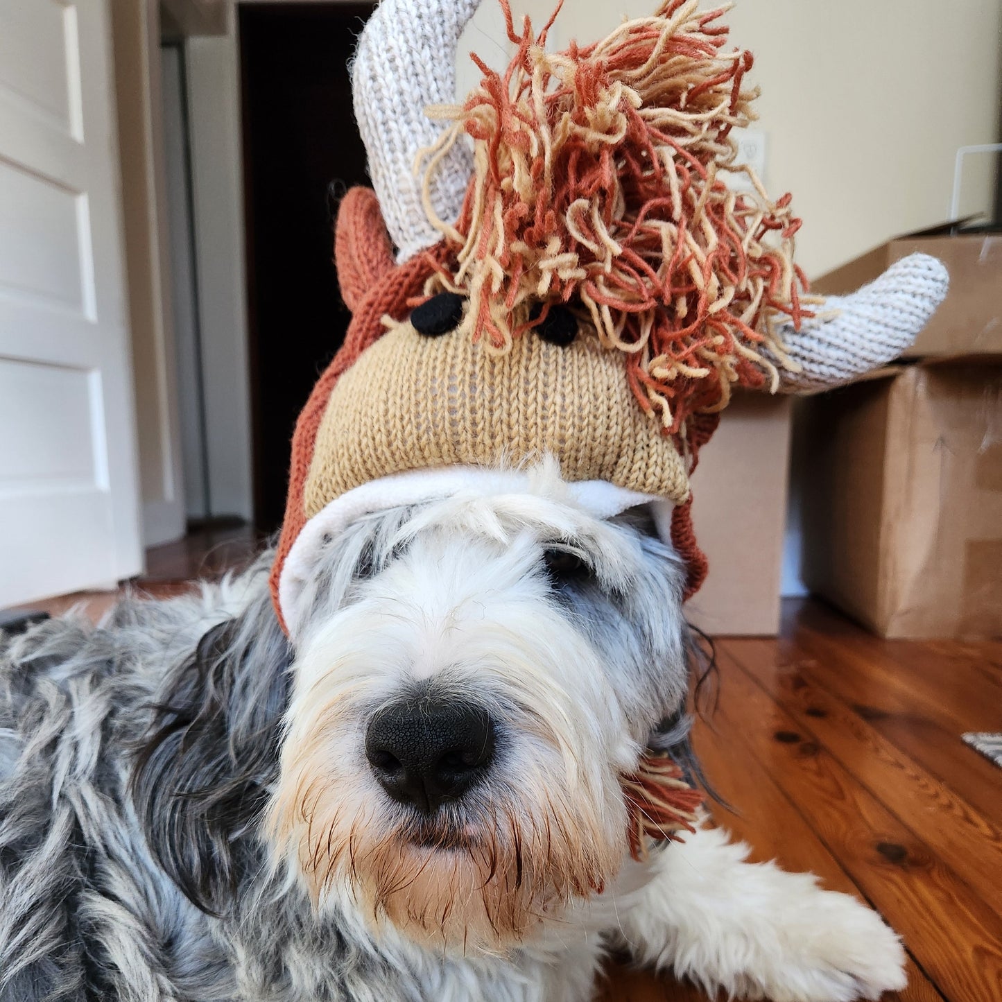 Highland cow hat- child size