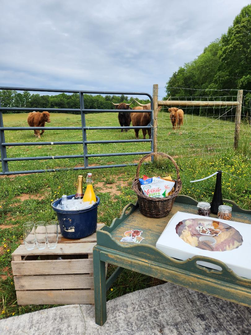 Picnic Experience During Your Farm Visit