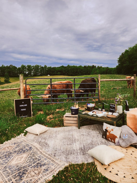 Picnic Experience During Your Farm Visit