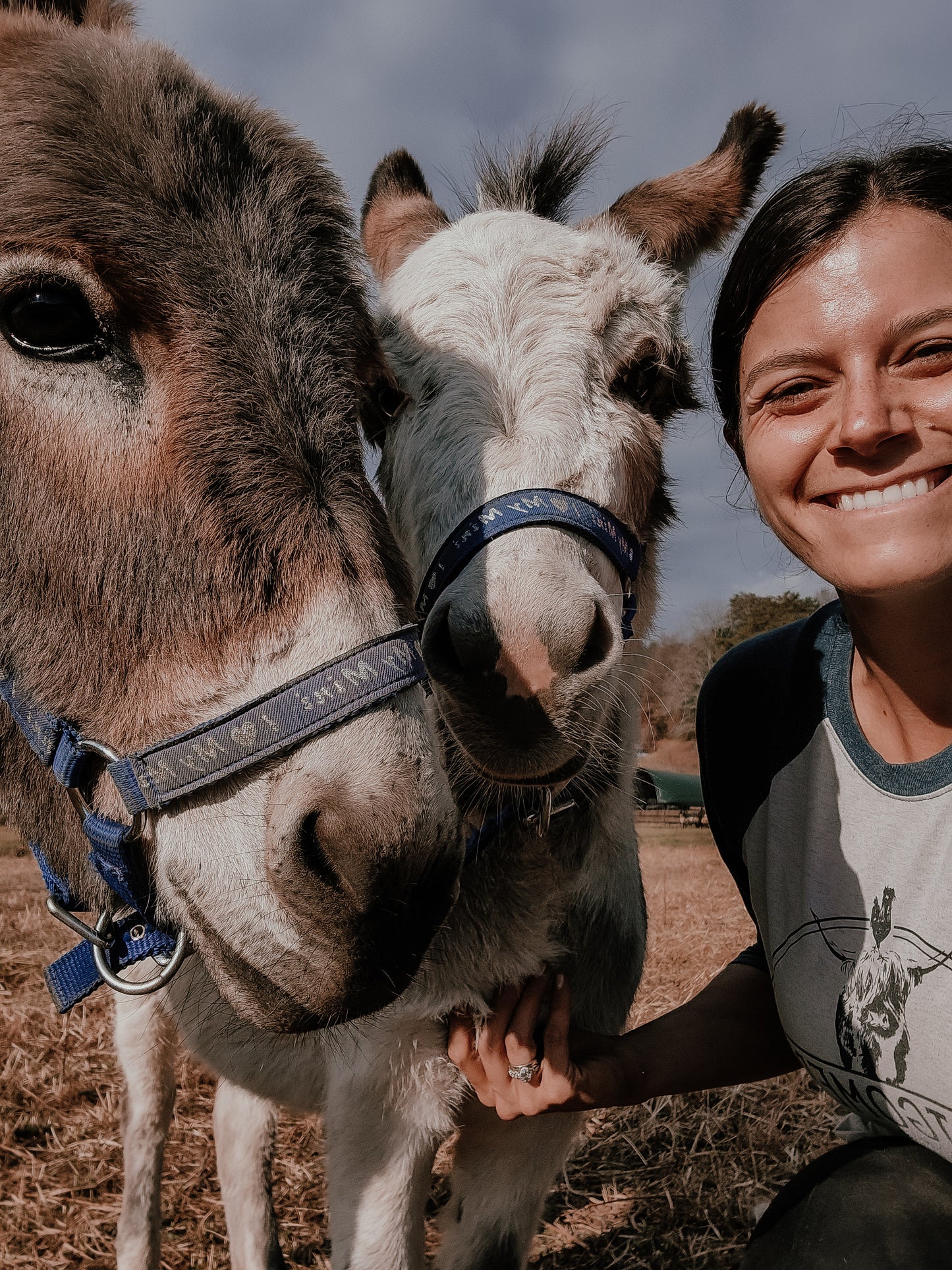 Cinco de Mayo-Burritos & Burros