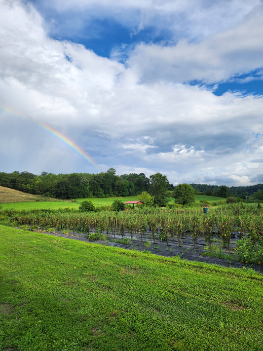 Sponsor a farm plaque- Seeds of Support