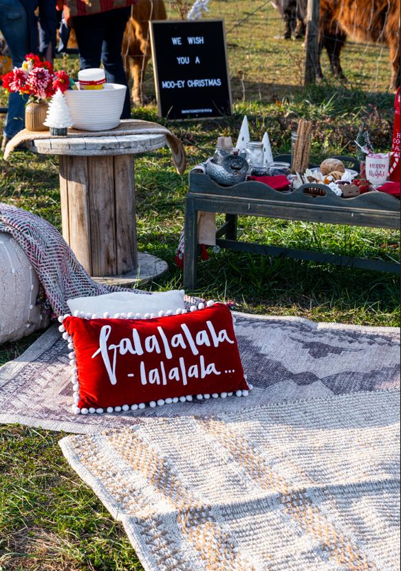 Christmas Picnic Experience (December only)