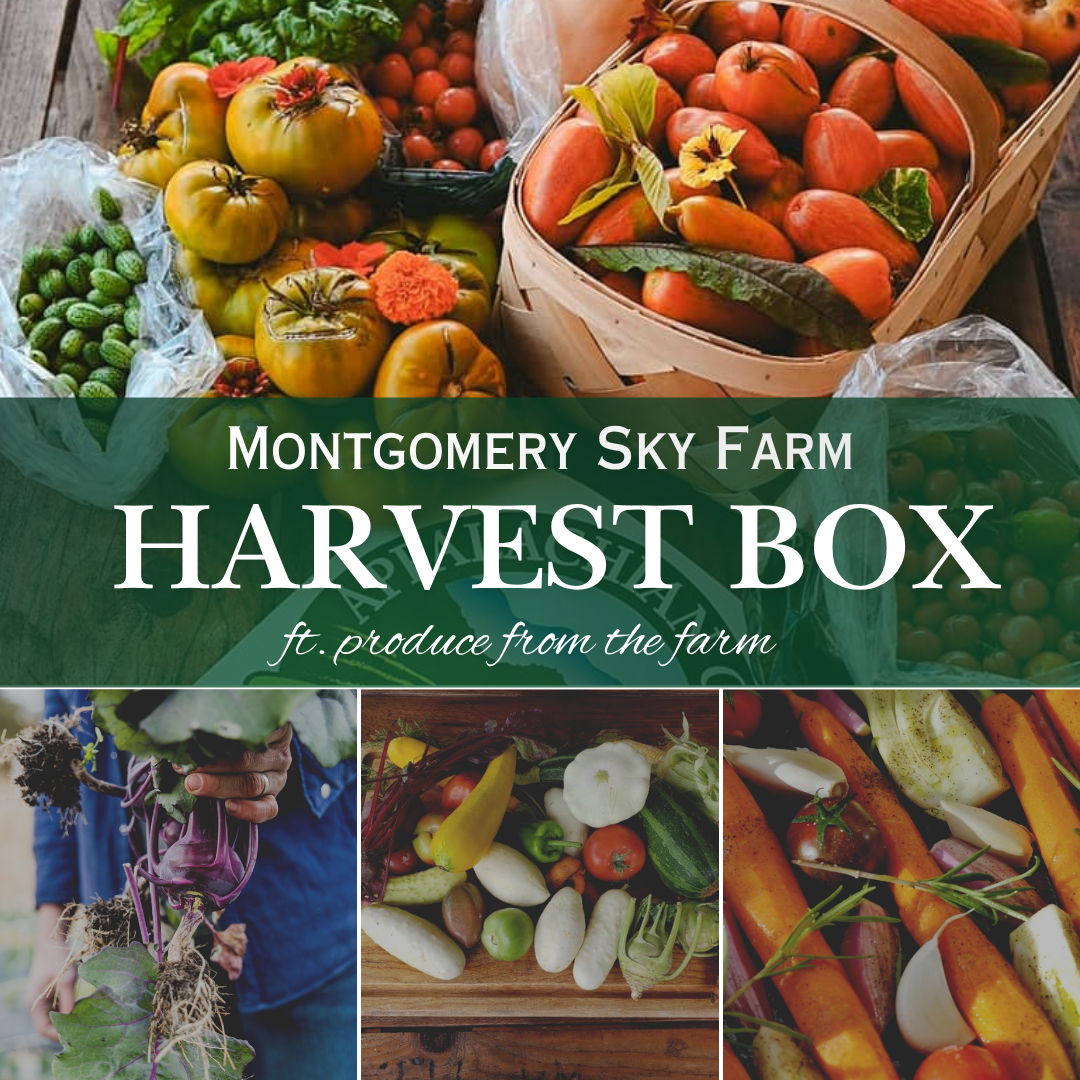 2026 Summer Harvest Box | pickup July 4th or 5th | 10am - 2pm