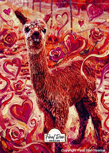 Rescue-grams- Valentine's Day