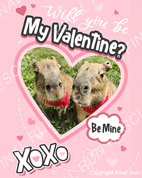 Rescue-grams- Valentine's Day