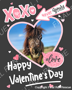 Rescue-grams- Valentine's Day