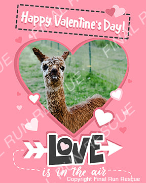 Rescue-grams- Valentine's Day