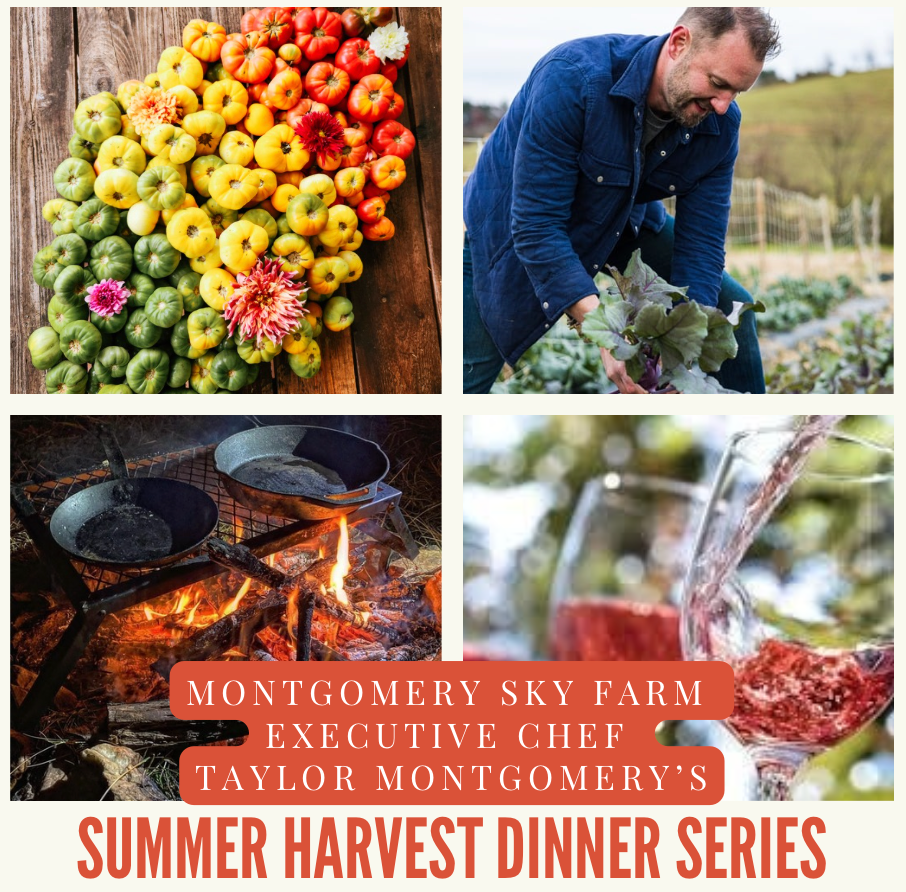 Harvest dinner series