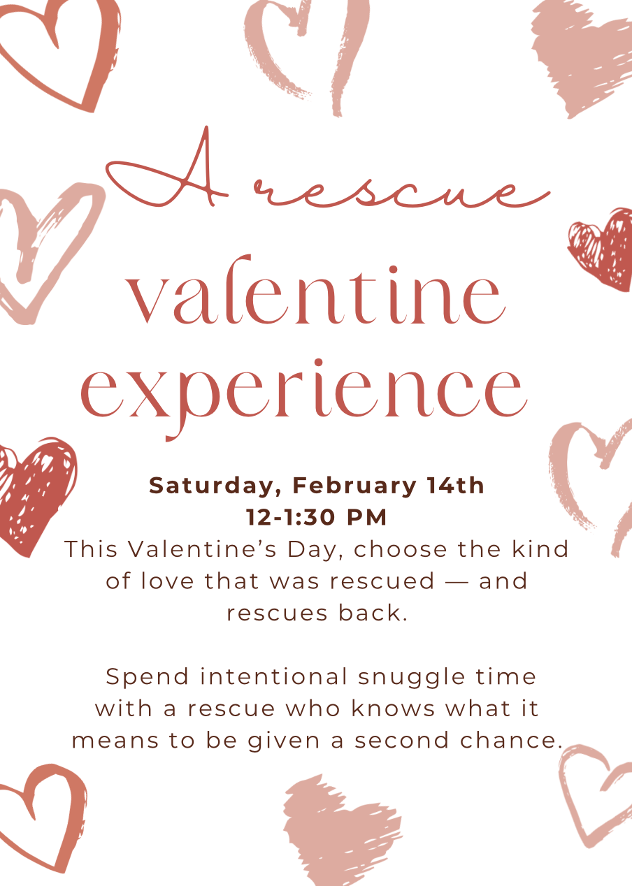 Valentines Day- a rescue experience