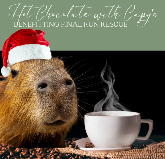 Hot chocolate with Capy's (Christmas edition)-benefitting Final Run Rescue