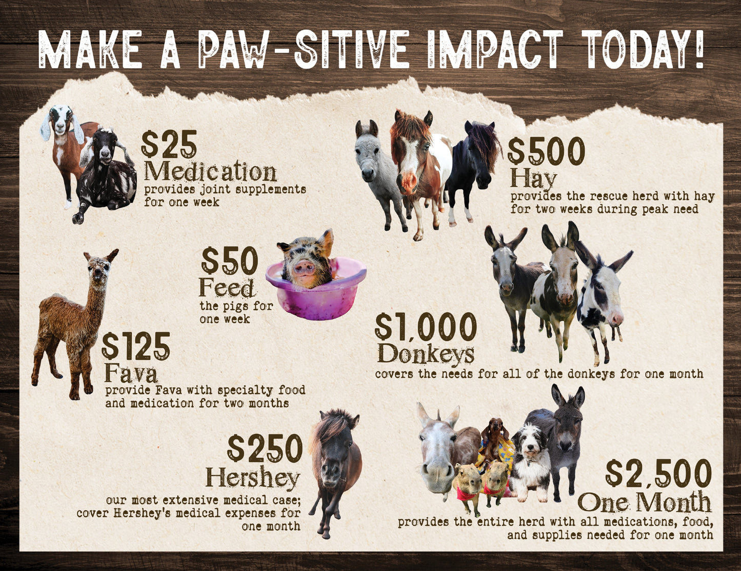 Fundraising Dinner for Final Run Rescue | Animal Rehabilitation Rescue | Friday, October 16, 2026