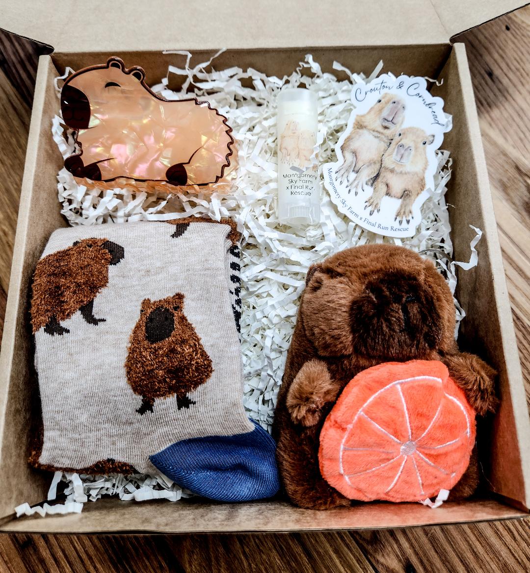 PRE-ORDER Holiday gift boxes