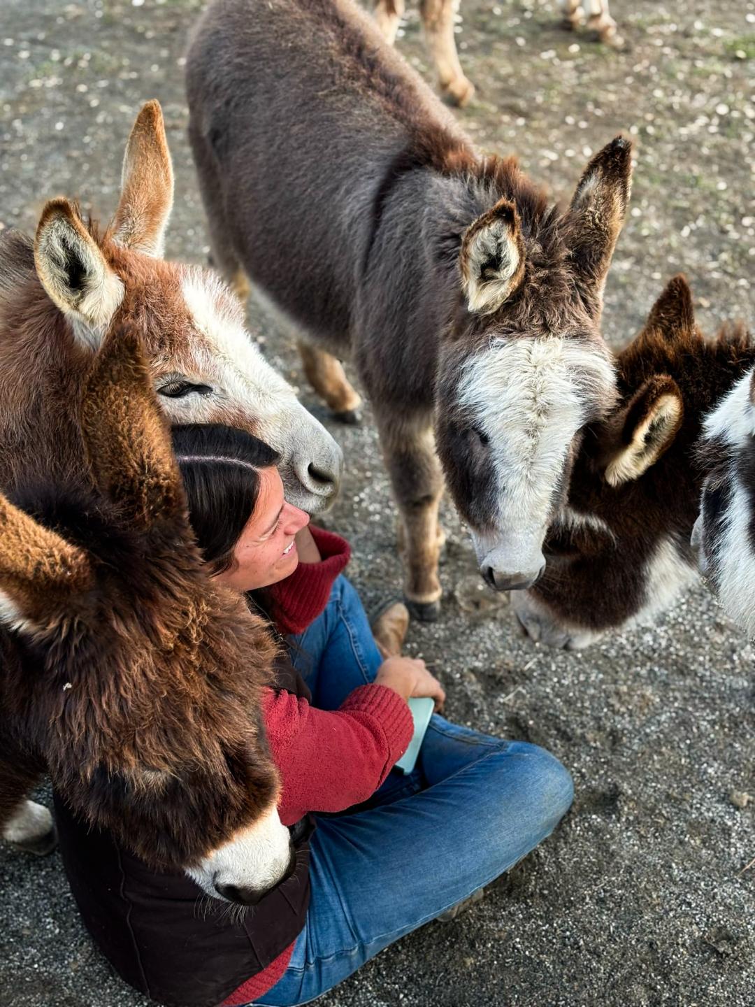 Valentines Day- a rescue experience