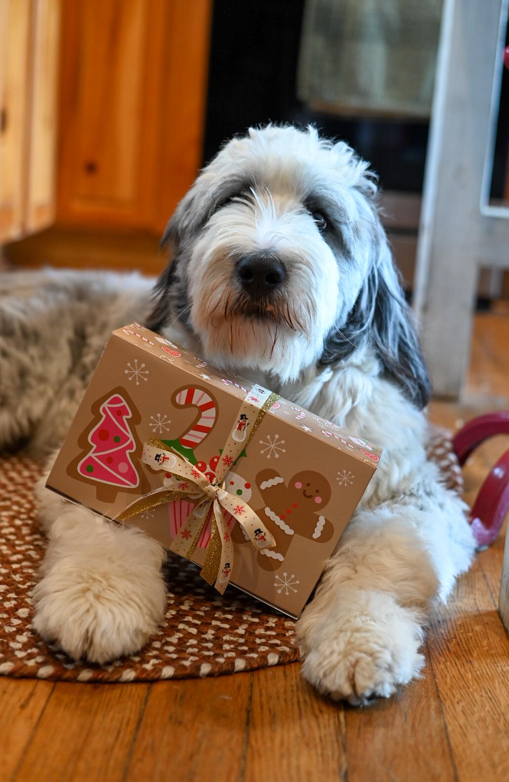 Holiday Cookie Box- a sweet way to give back