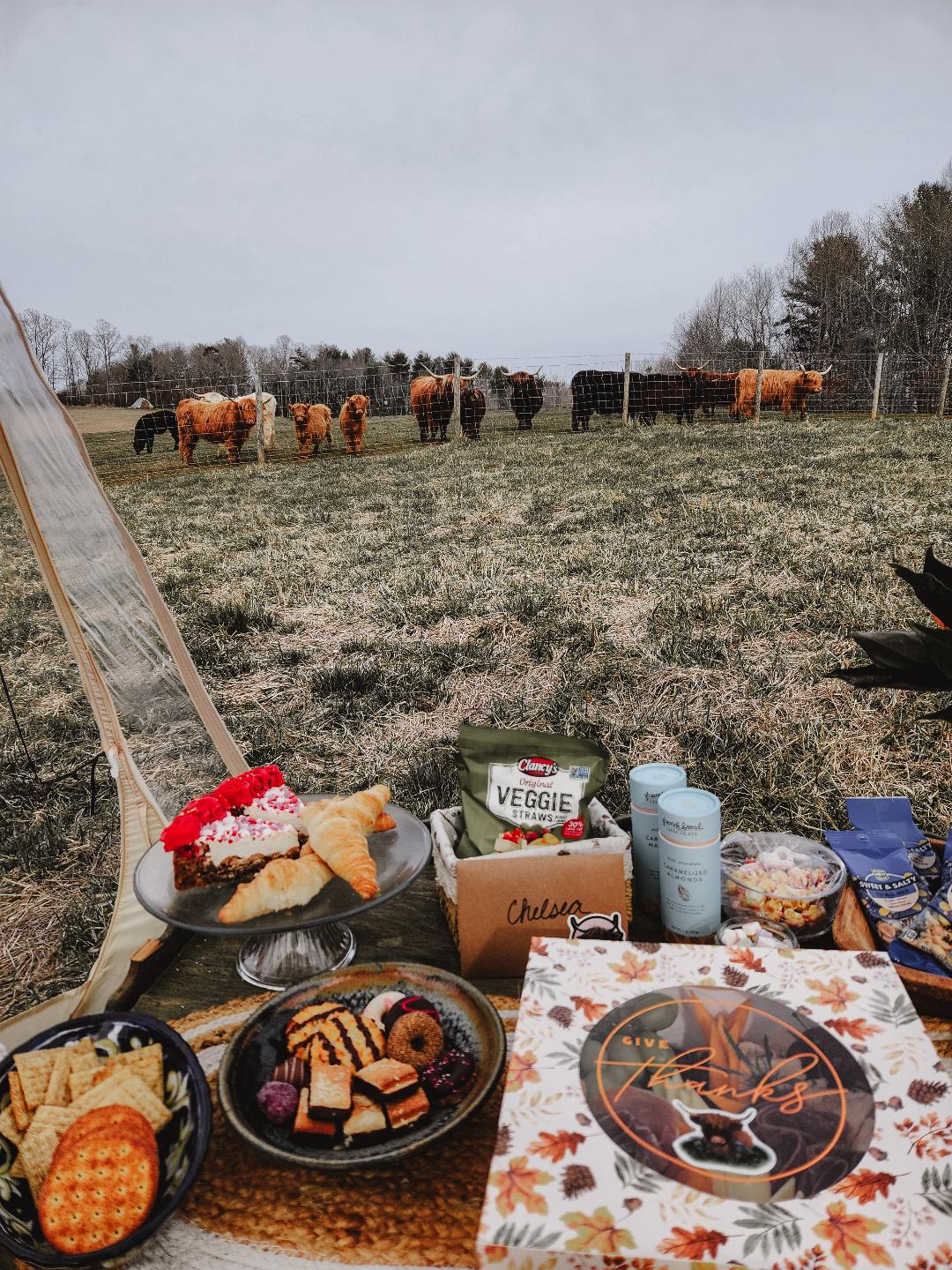 Valentine's Day Picnic + Private Farm Tour