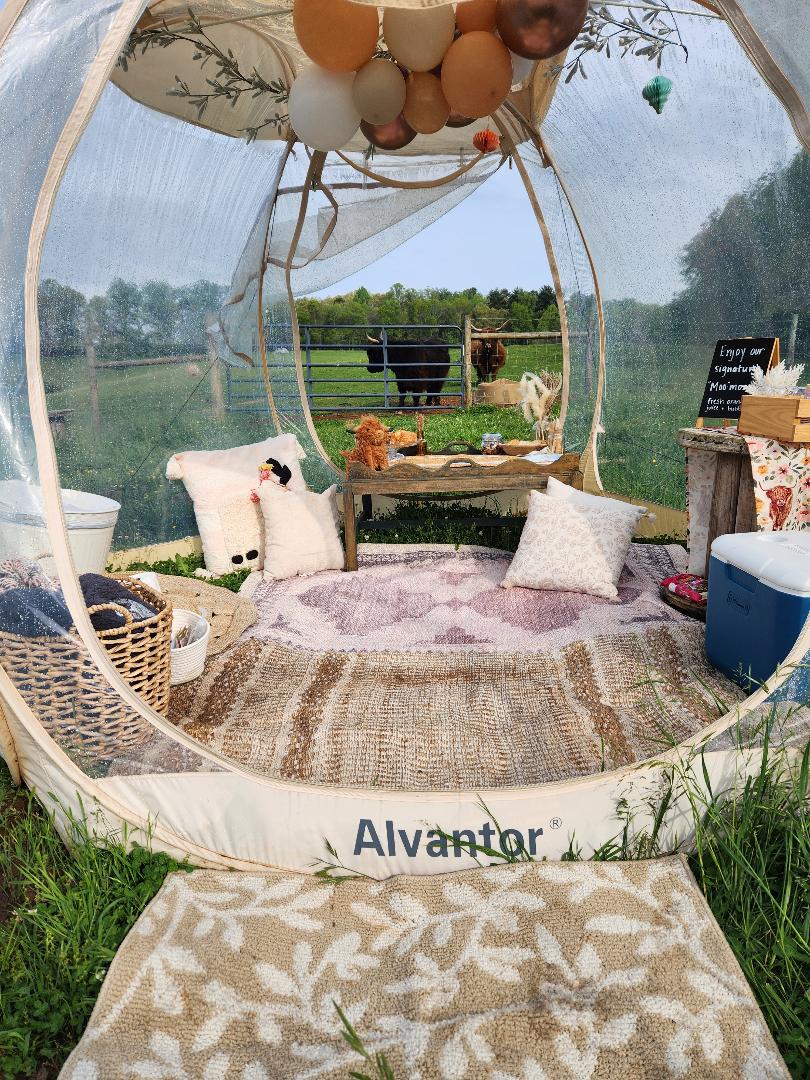 Valentine's Day Picnic + Private Farm Tour